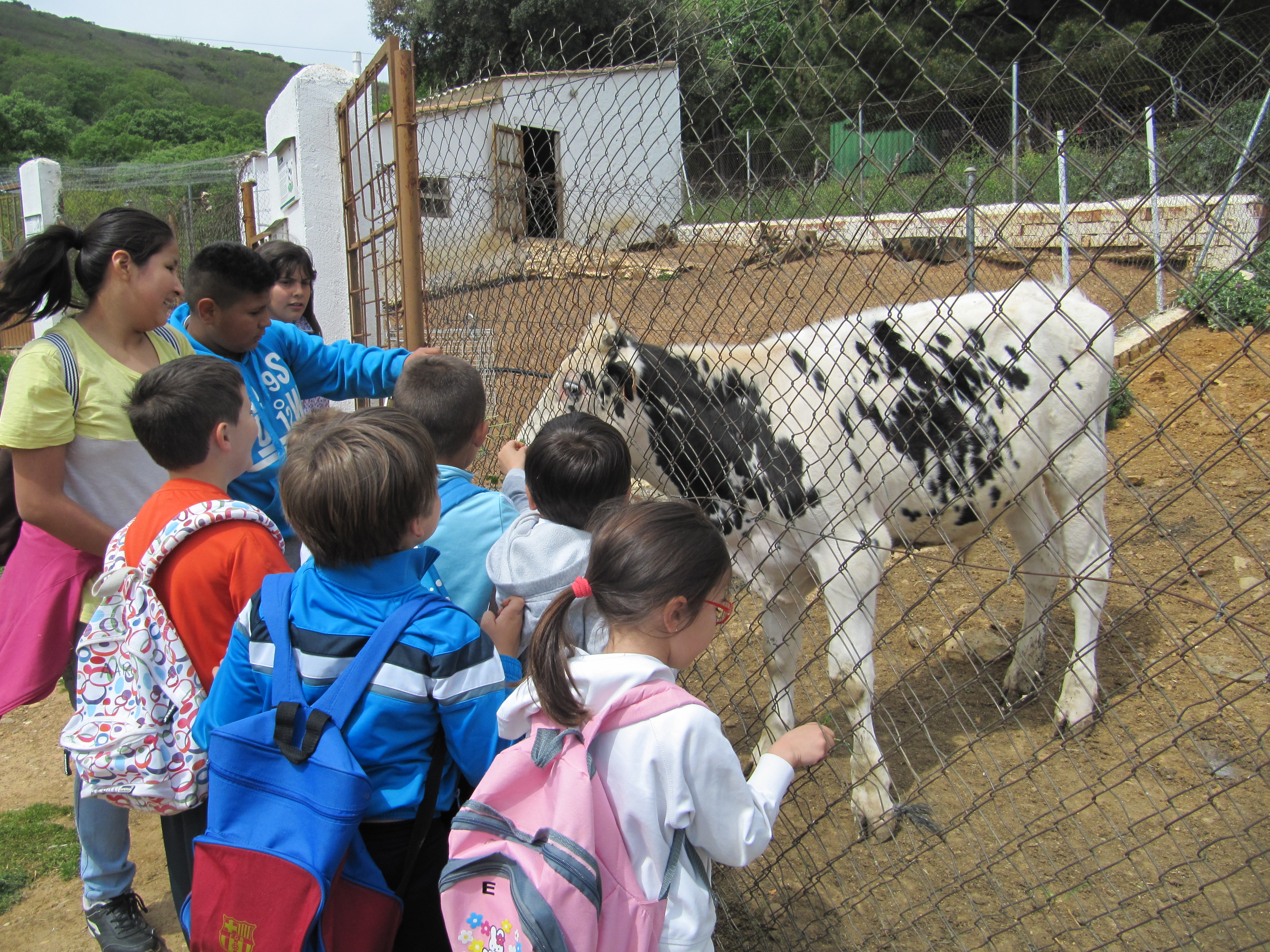 CEIP. GARCILASO DELA VEGA