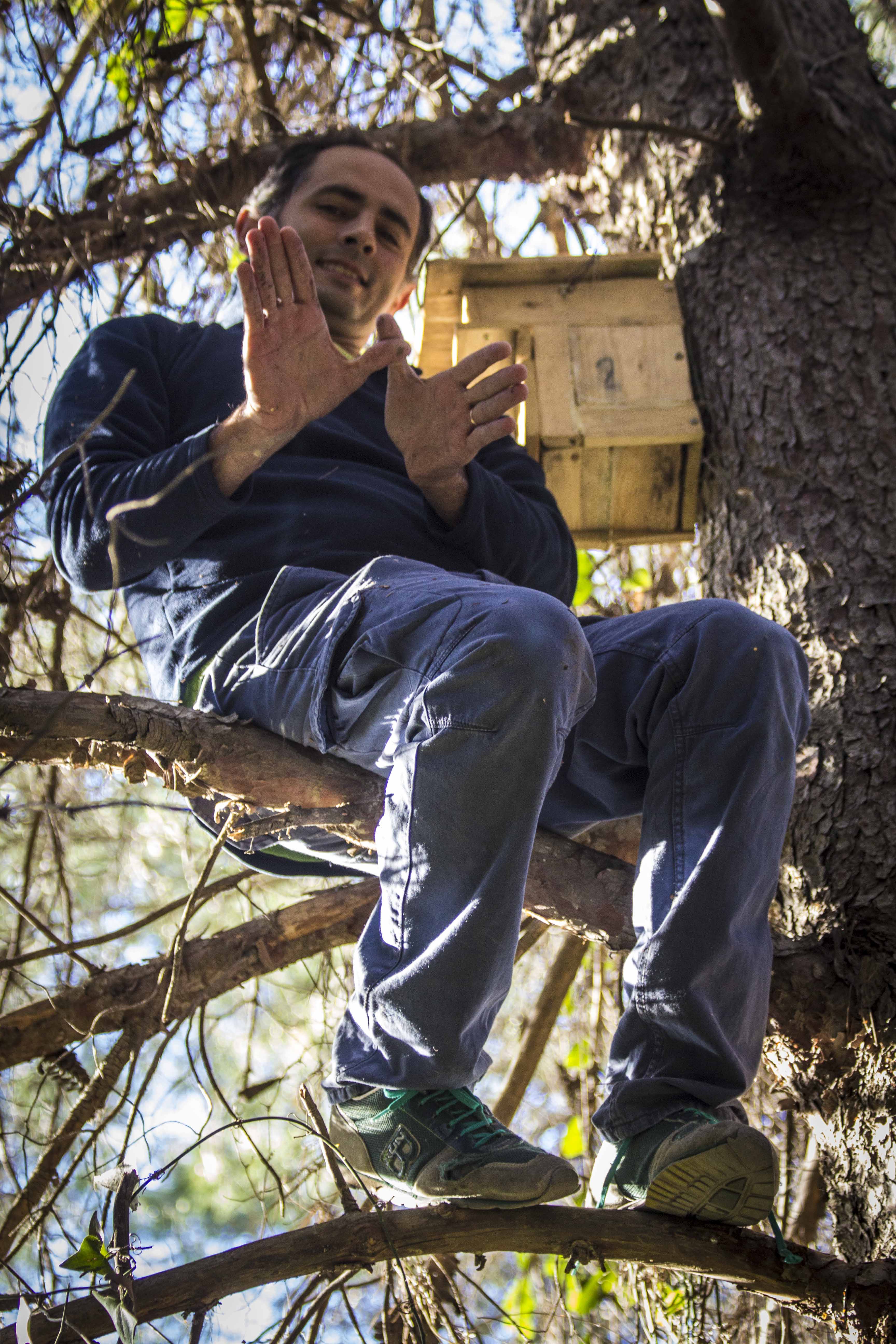 Revisando cajas nido en la ZEPA Albufera de Valencia