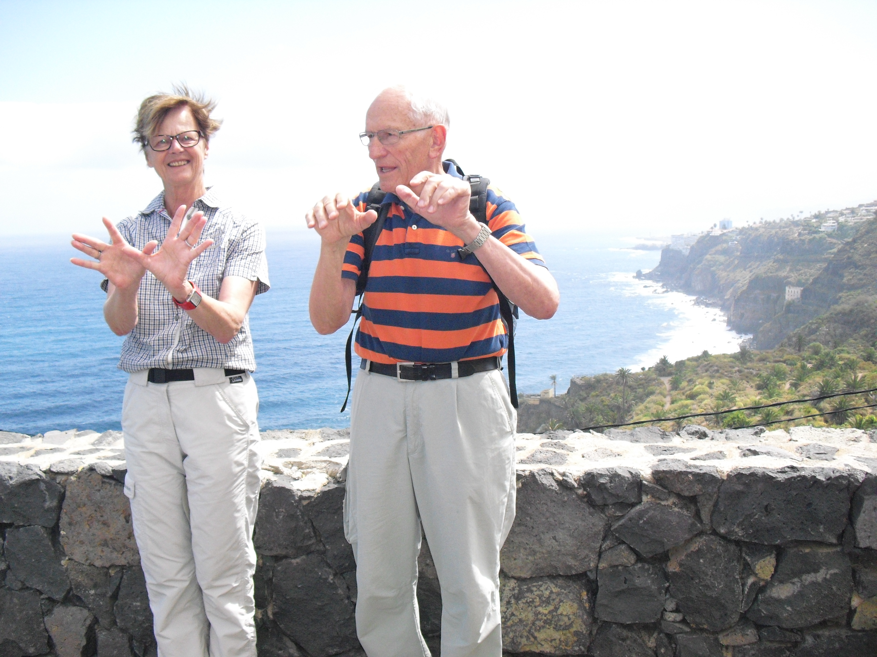 Tenerife_Mirador de Rambla de Castro_Los Realejos