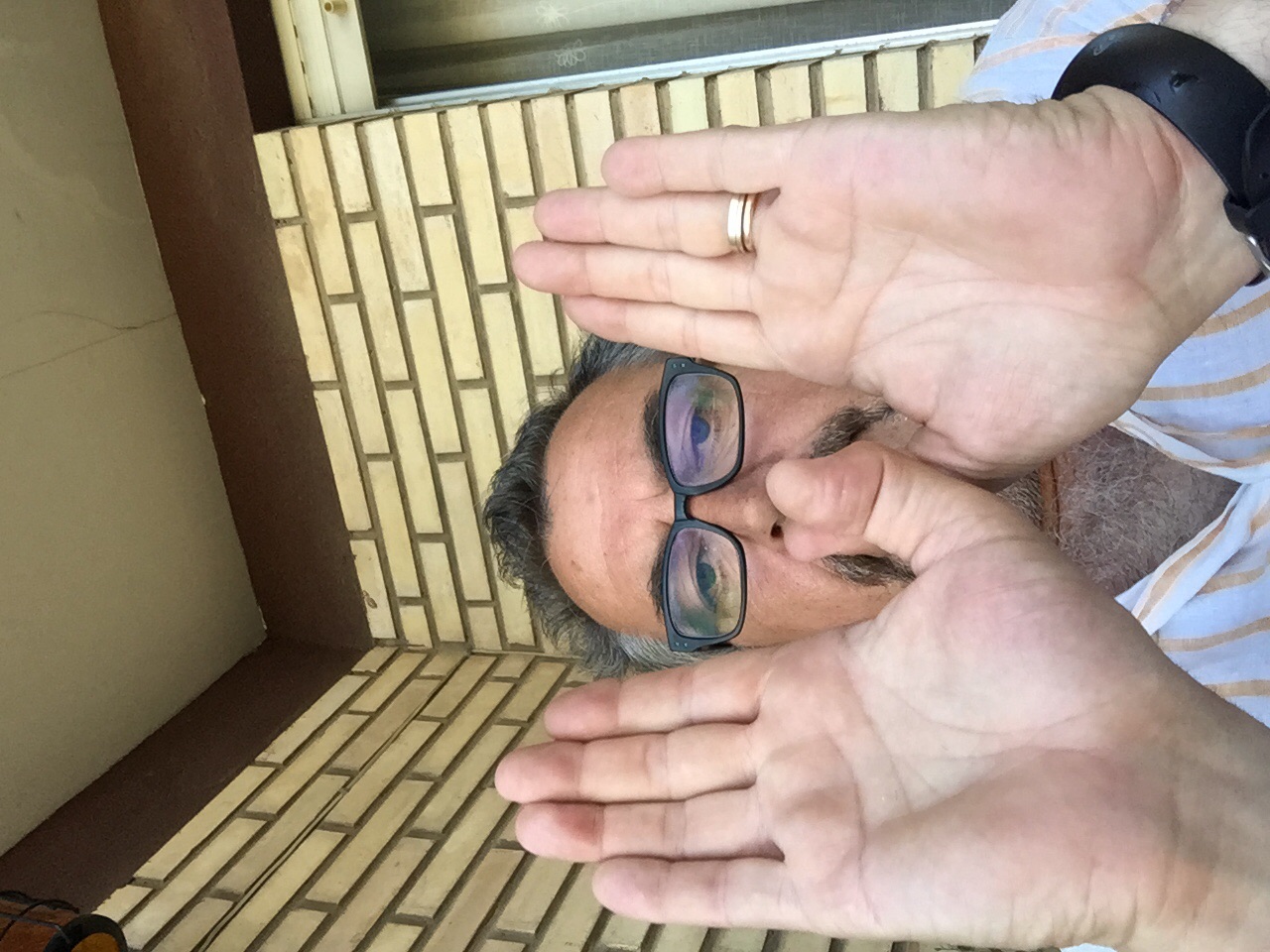 Mariposeando