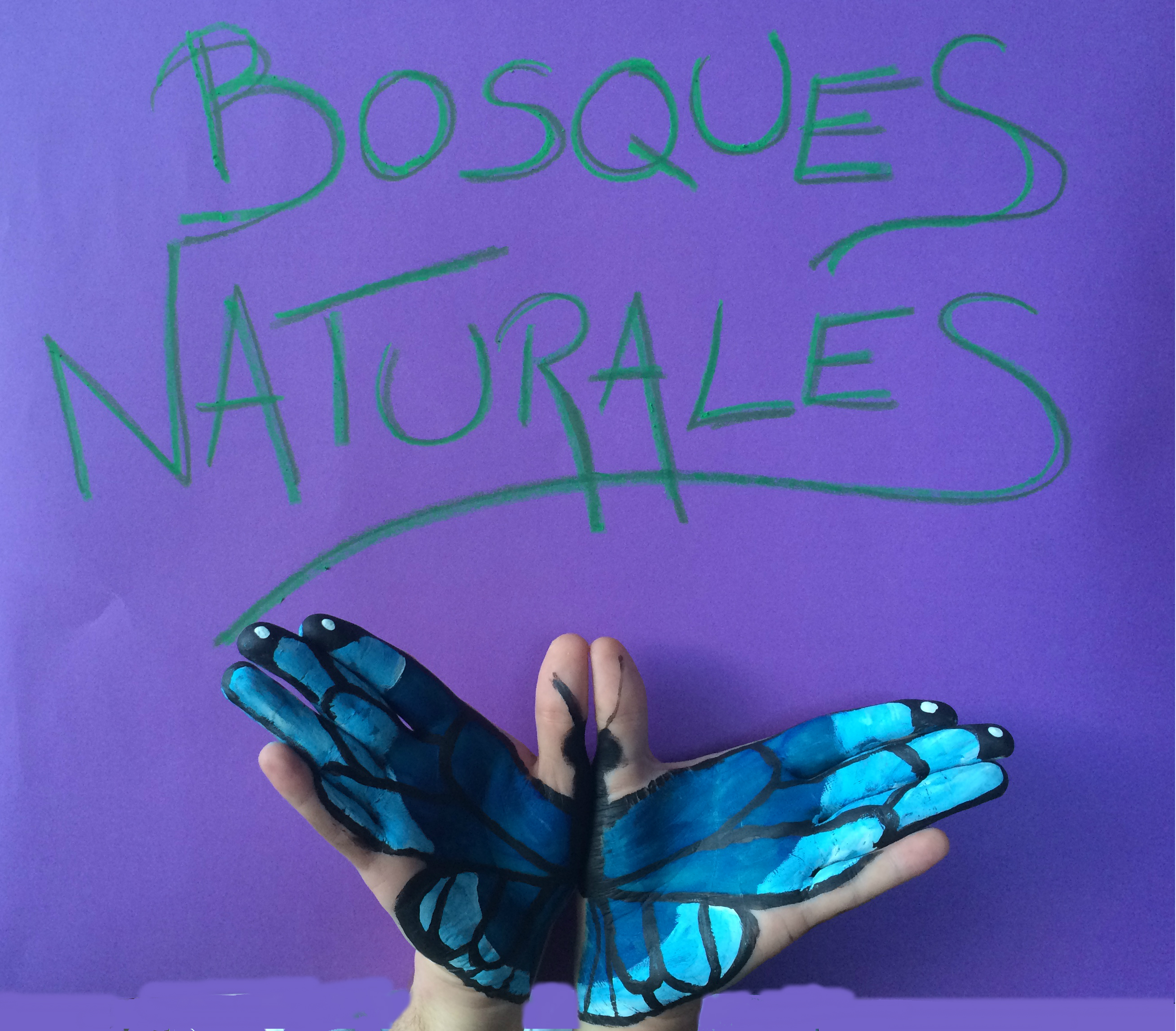 Bosques Naturales
