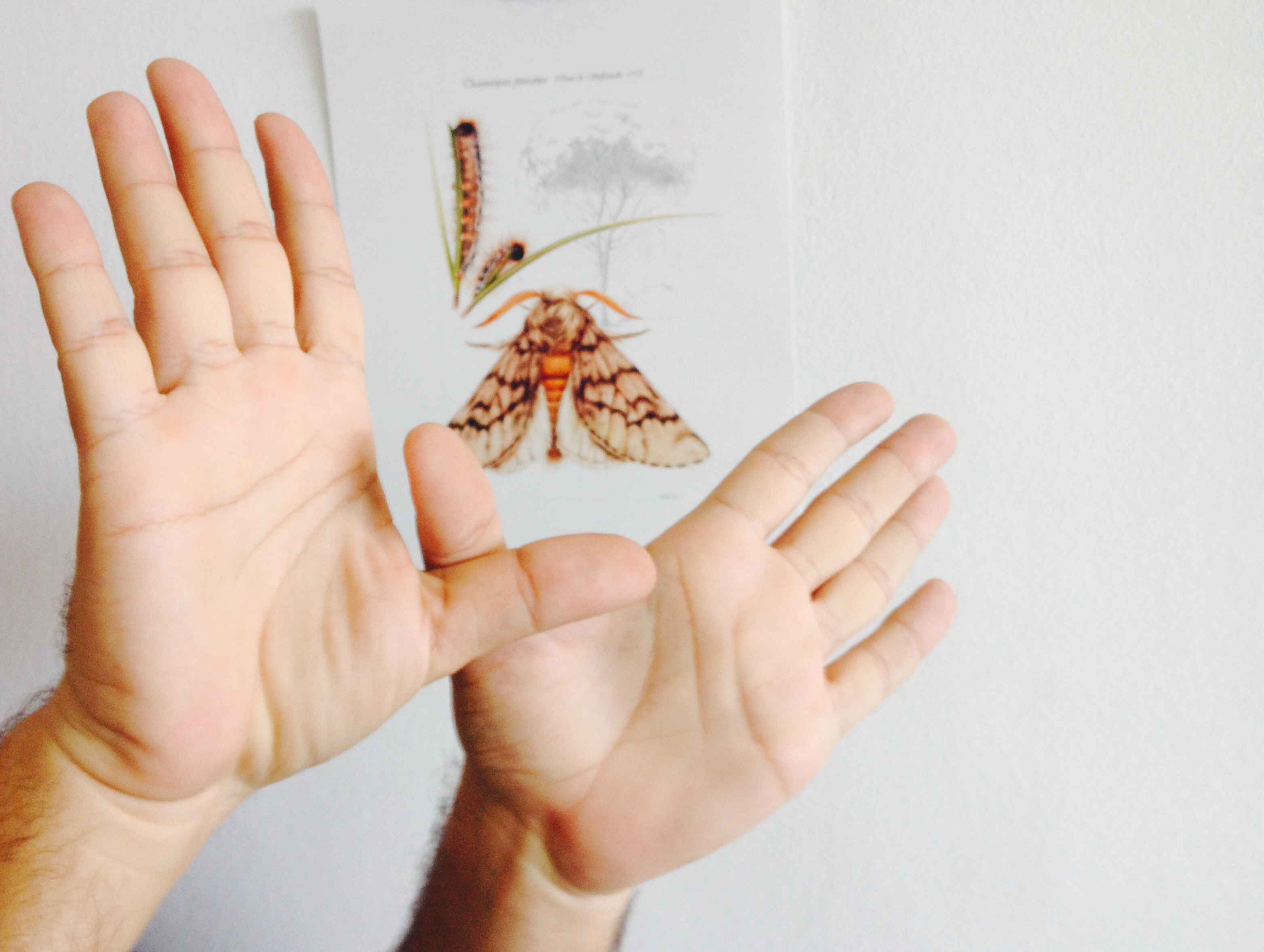 #illustraciencia se suma al #Natura2000Day con esta foto.