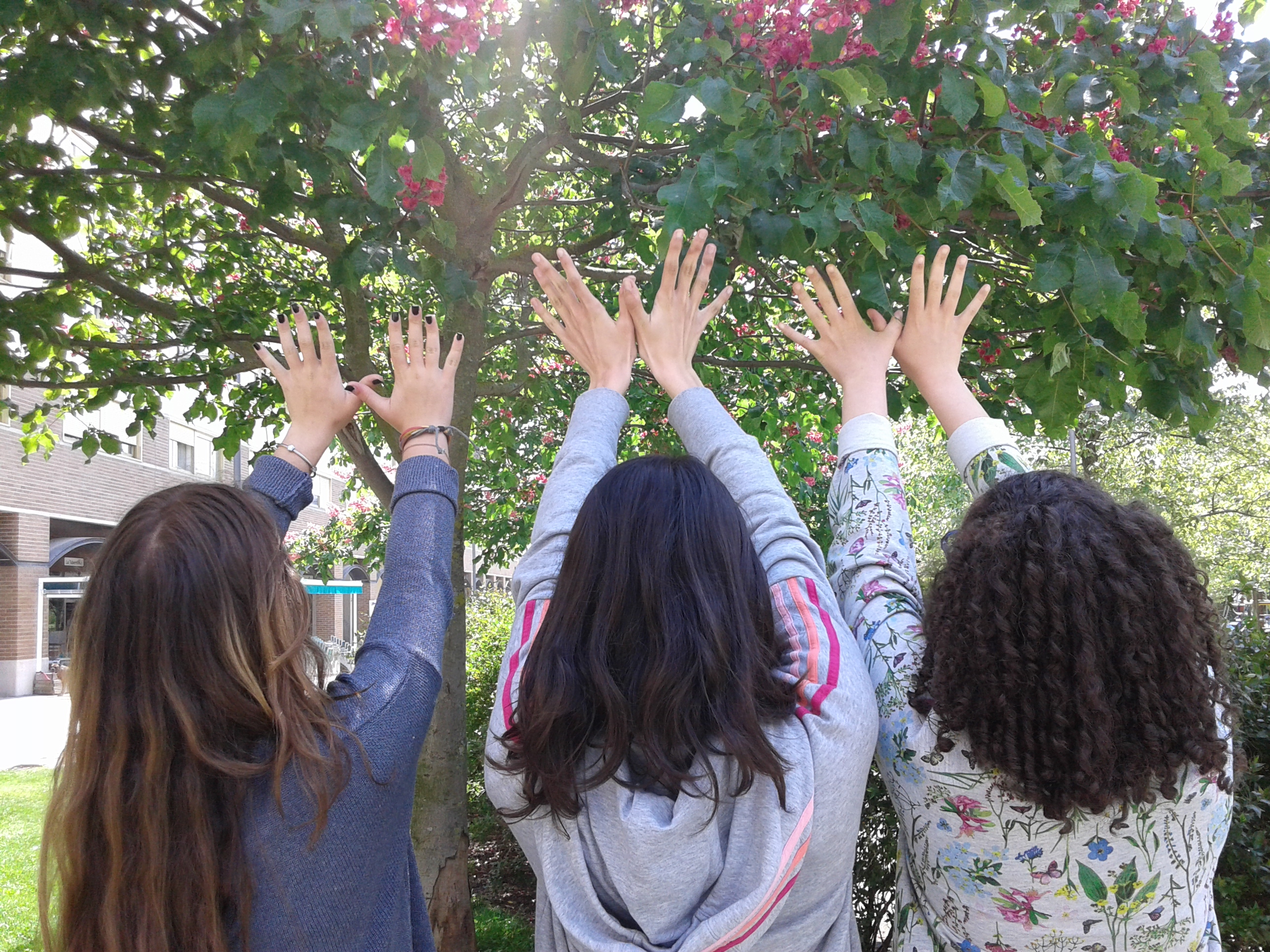 COMPASION – PAMPLONA – COLEGIO ESCOLAPIOS