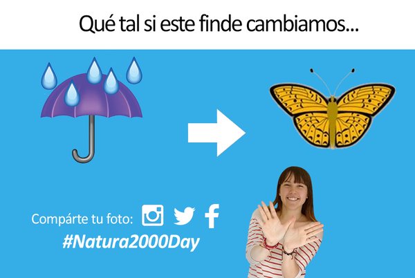 Twitter : @SEO_BirdLife (SEO/BirdLife)