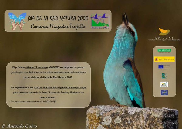 Twitter : @DeUnVistazo (De un vistazo)