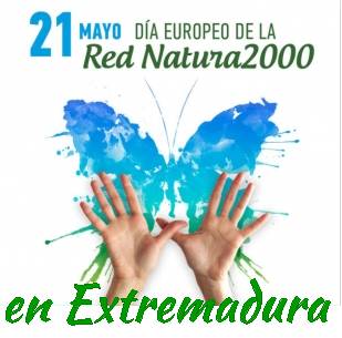 Twitter : @LifeInfonatur (Life+ Infonatur 2000)