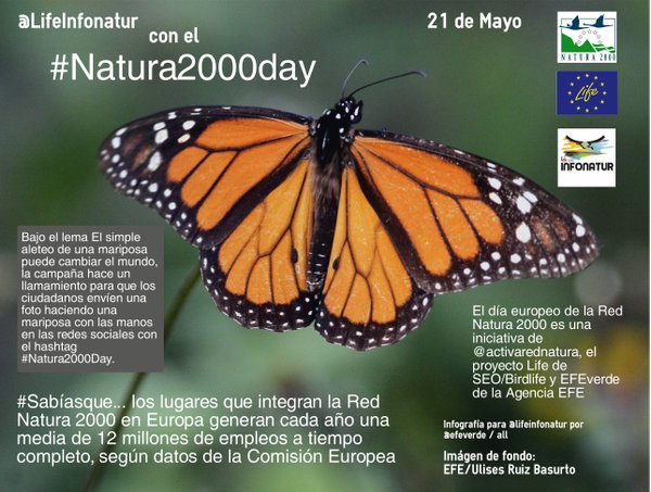 Twitter : @LifeInfonatur (Life+ Infonatur 2000)