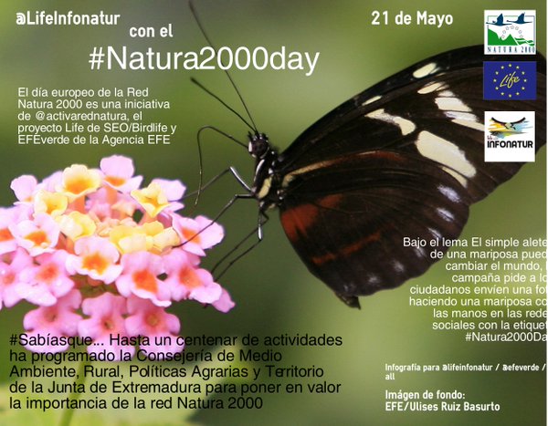Twitter : @LifeInfonatur (Life+ Infonatur 2000)