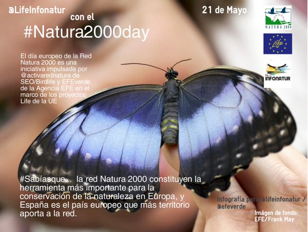 Twitter : @LifeInfonatur (Life+ Infonatur 2000)