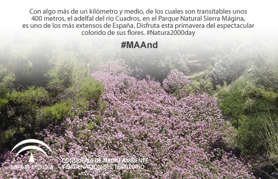 Twitter : @AndaluciaCMAYOT (CMAYOT)