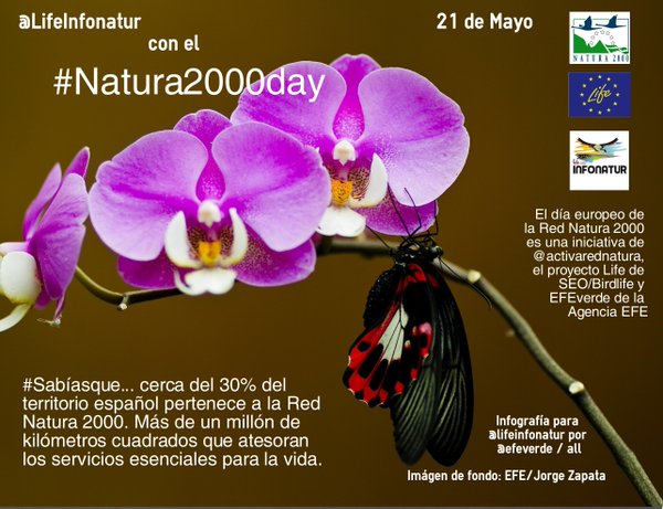 Twitter : @LifeInfonatur (Life+ Infonatur 2000)