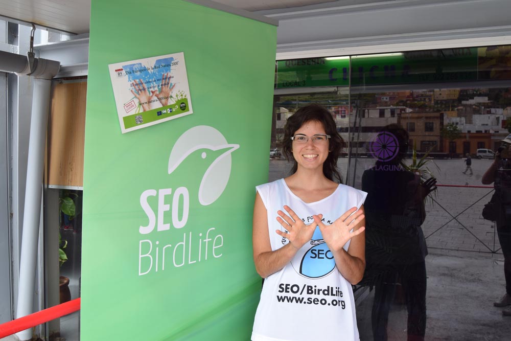 Tenerife_Plaza del Cristo_SEO/BirdLife Canarias
