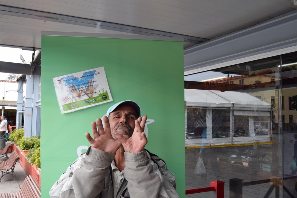 Tenerife_Plaza del Cristo_SEO/BirdLife Canarias