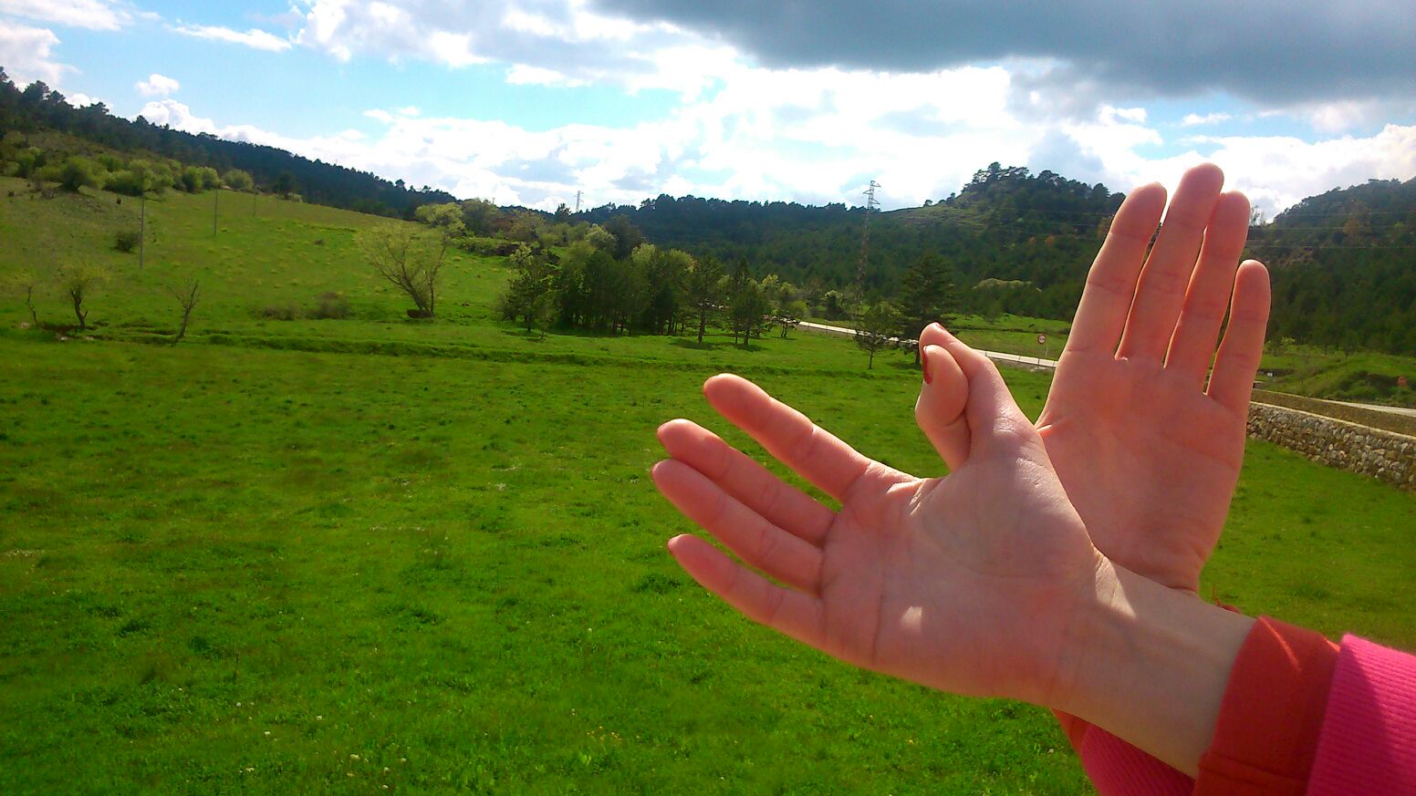 mariposa en la naturaleza
