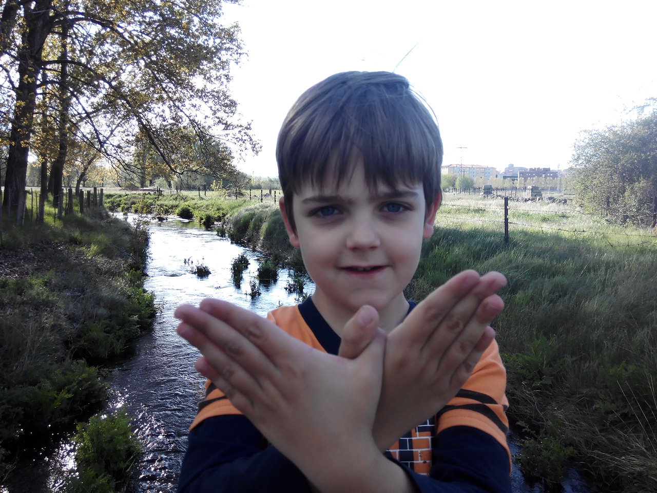 Mariposa en río Chico, Avila