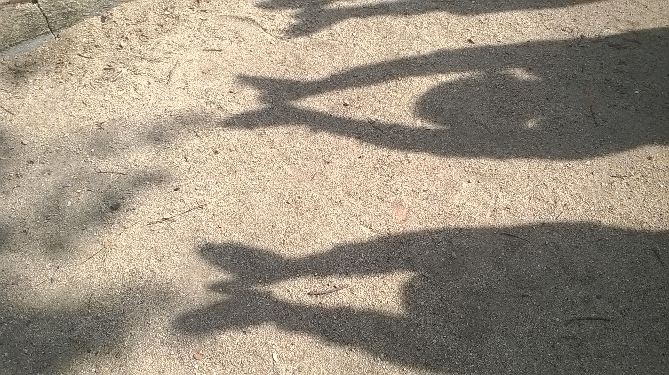 Nuestras mariposas seguirán volando…