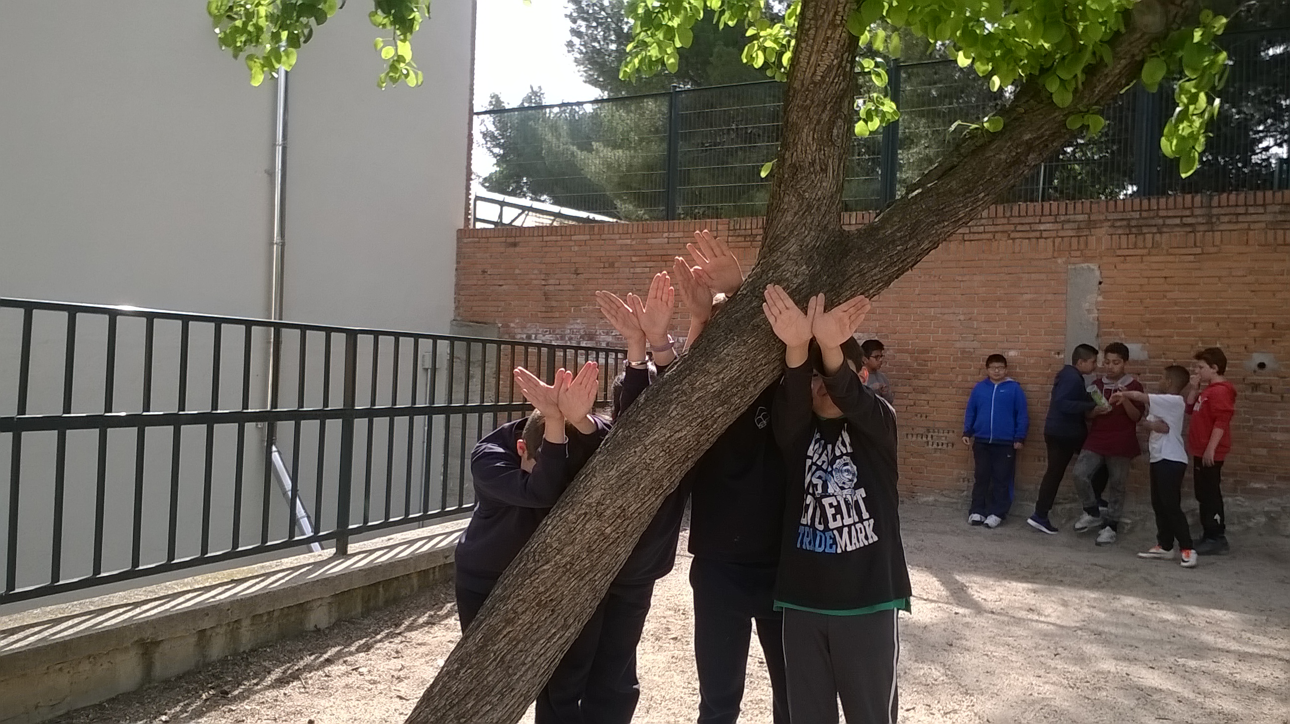 Nuestras mariposas seguirán volando…