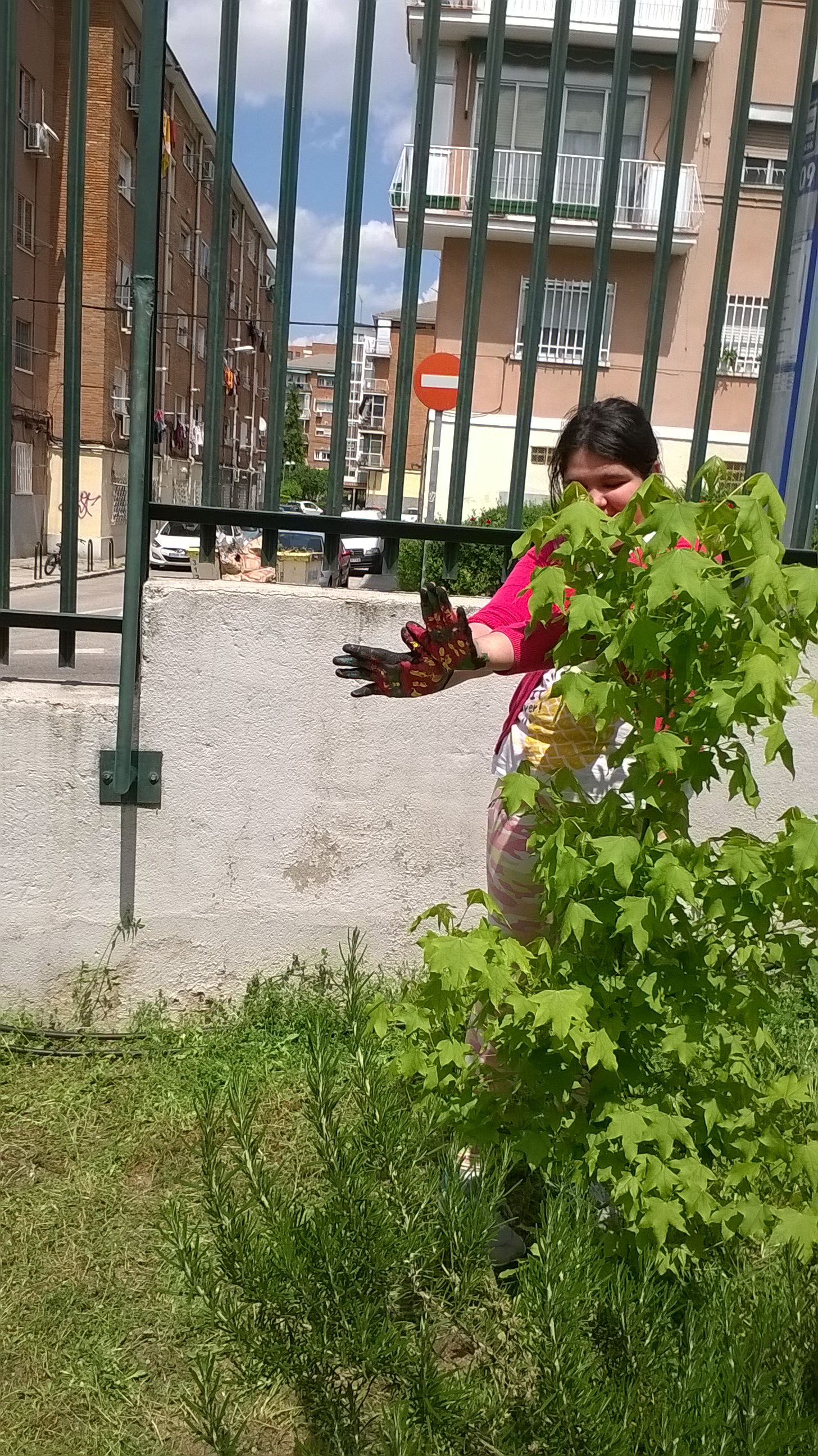Nuestras mariposas seguirán volando…