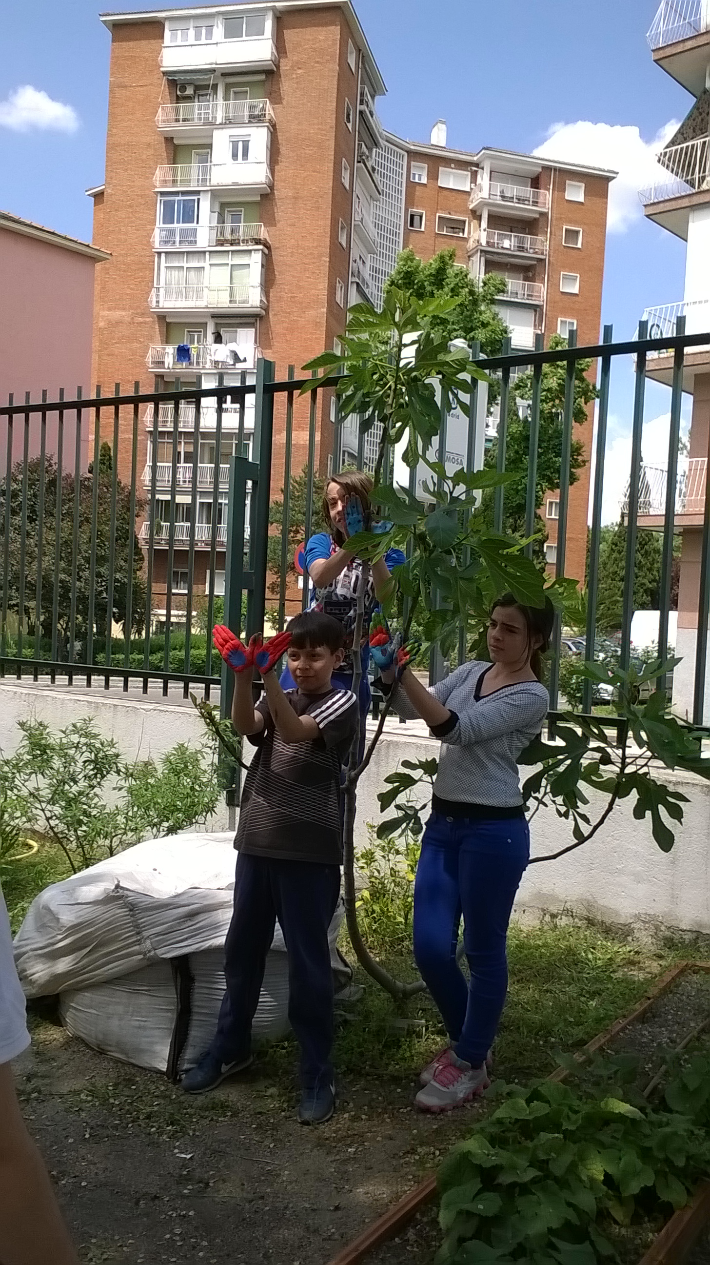 Nuestras mariposas seguirán volando…