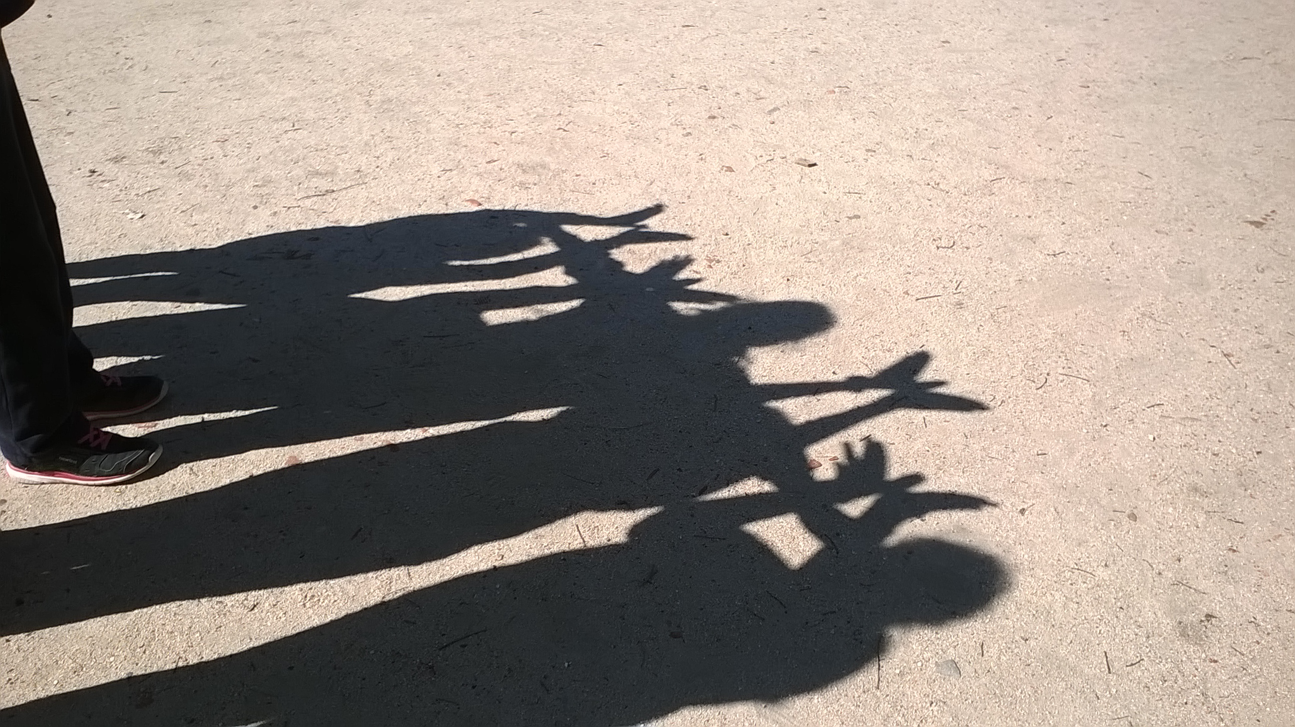 CEIP GANDHI.Nuestras mariposas seguirán volando…