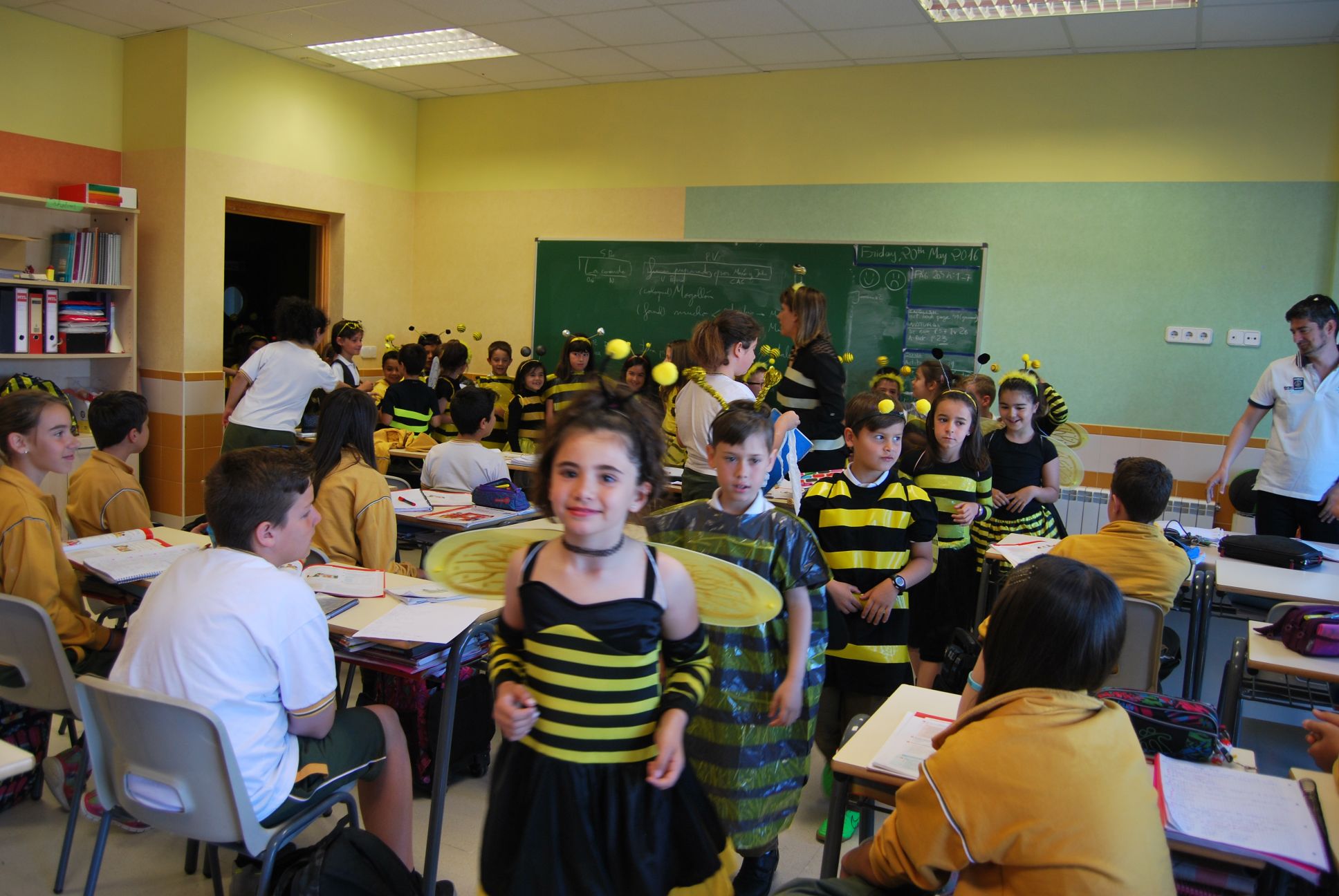 Educrea