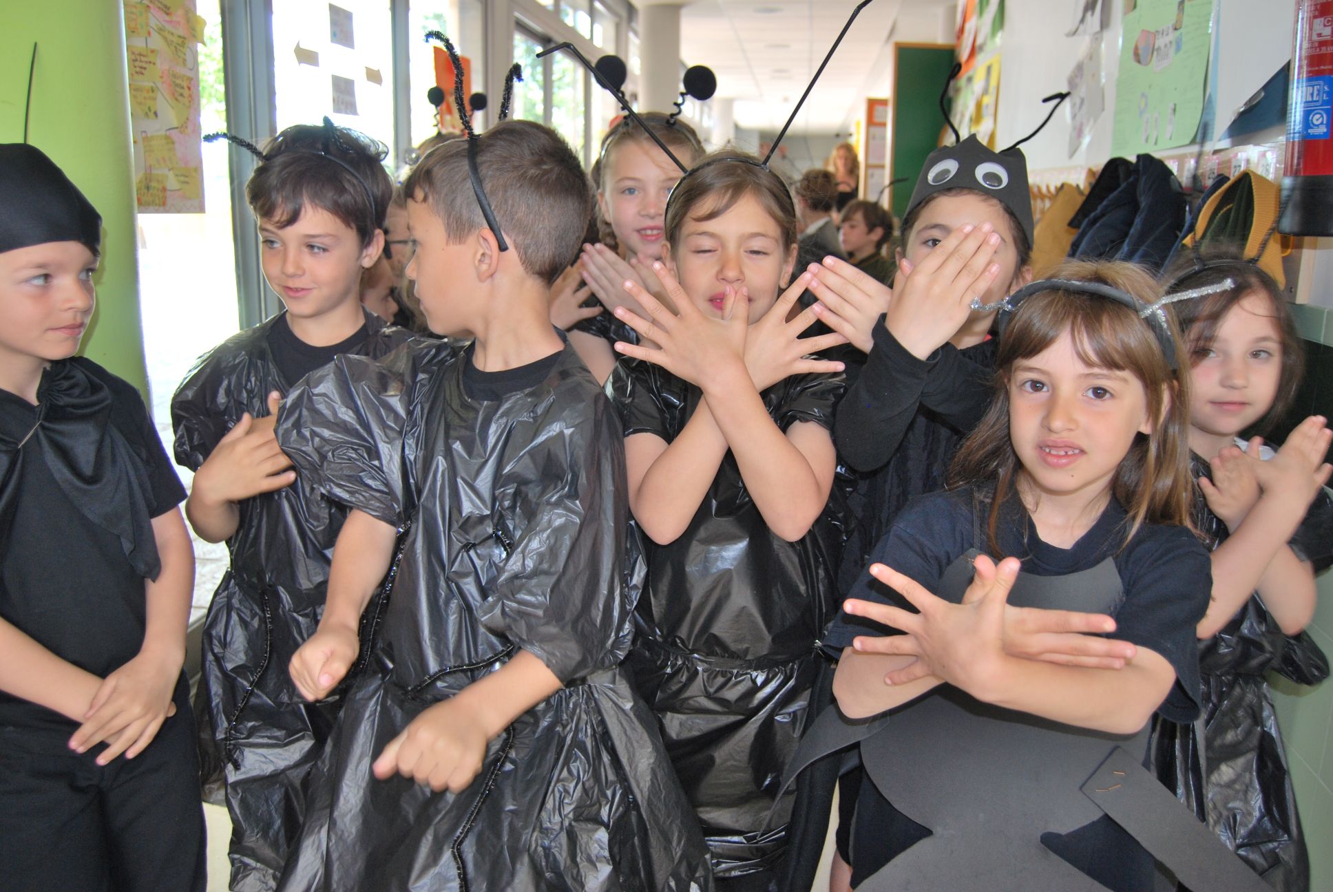 Educrea