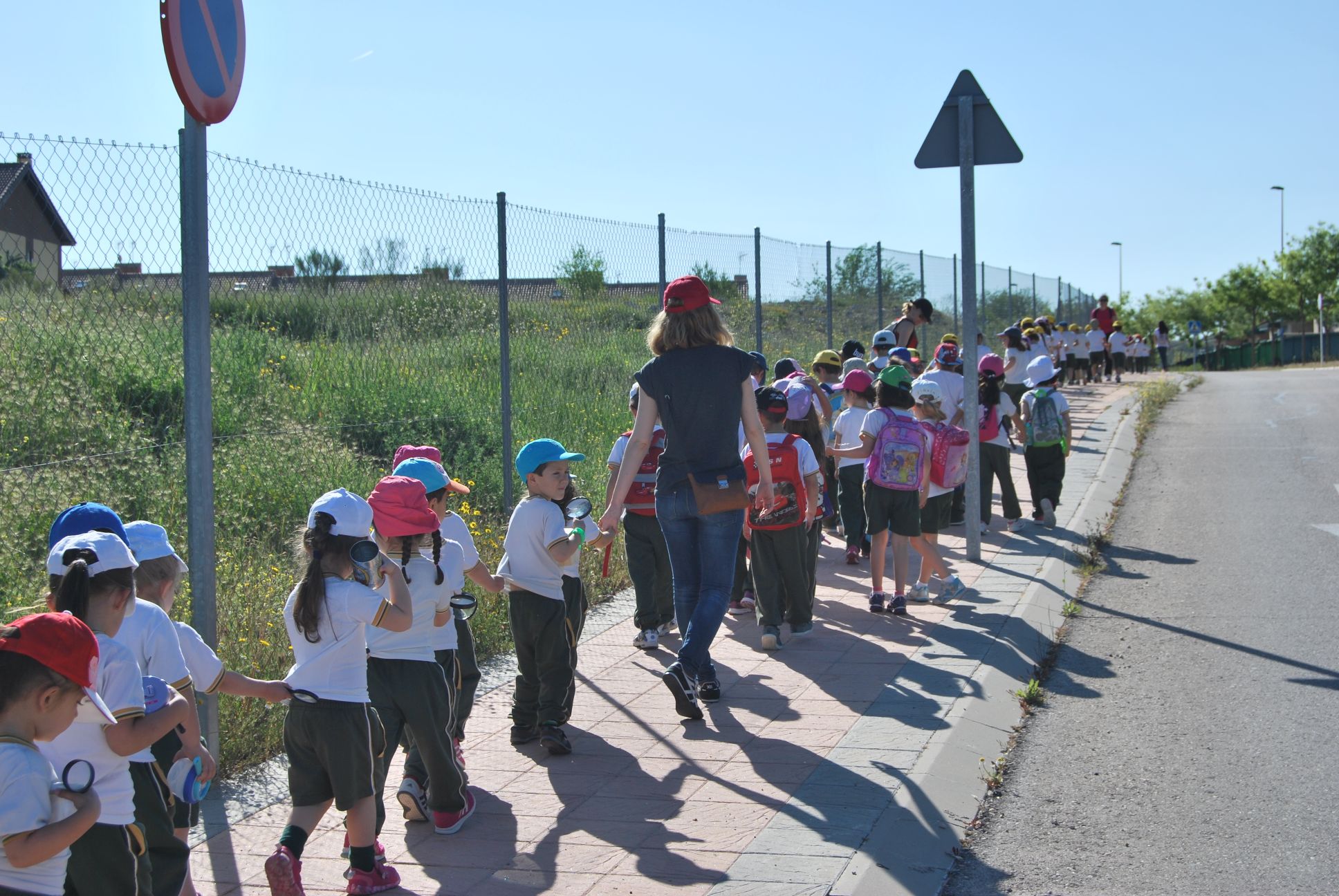 Educrea