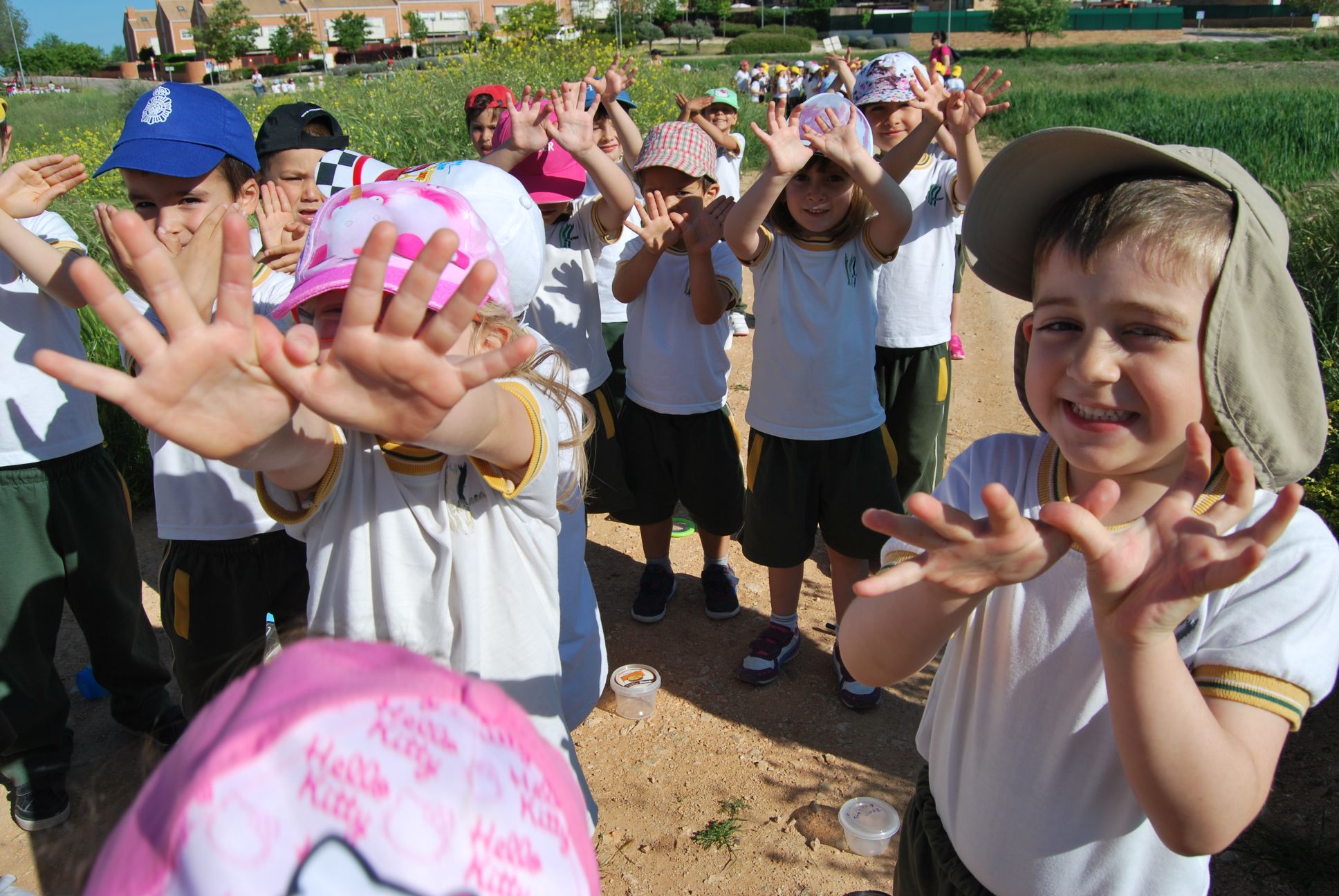 Educrea