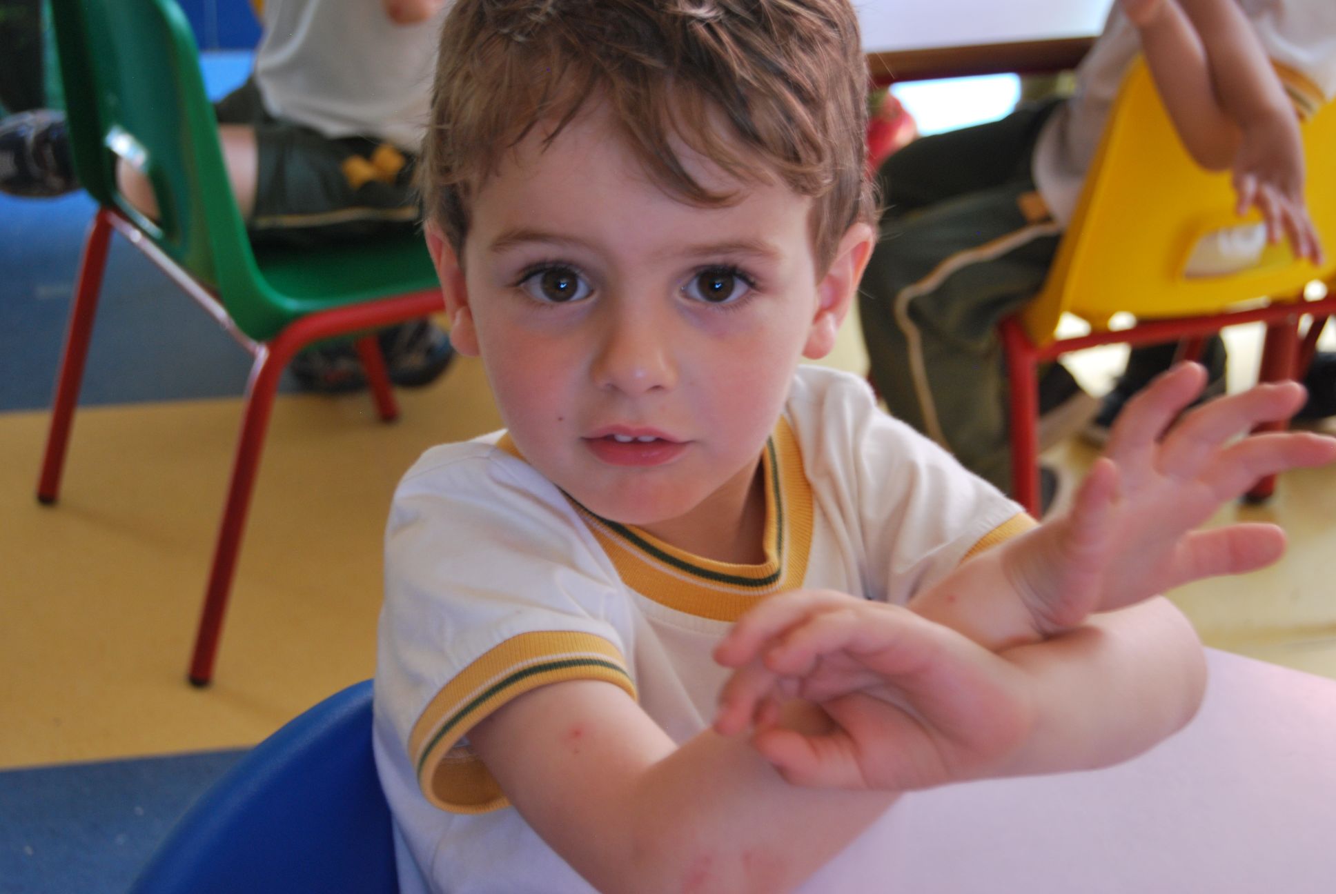 Educrea