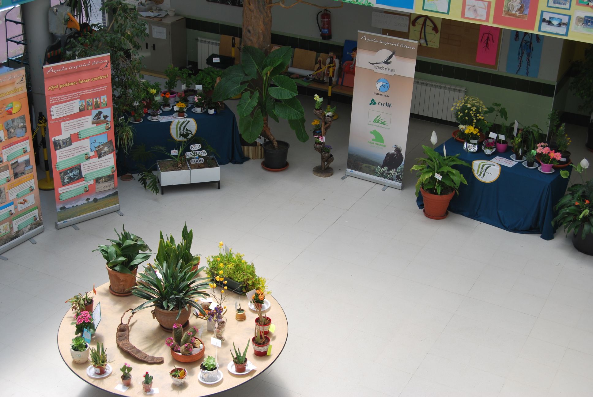 Educrea