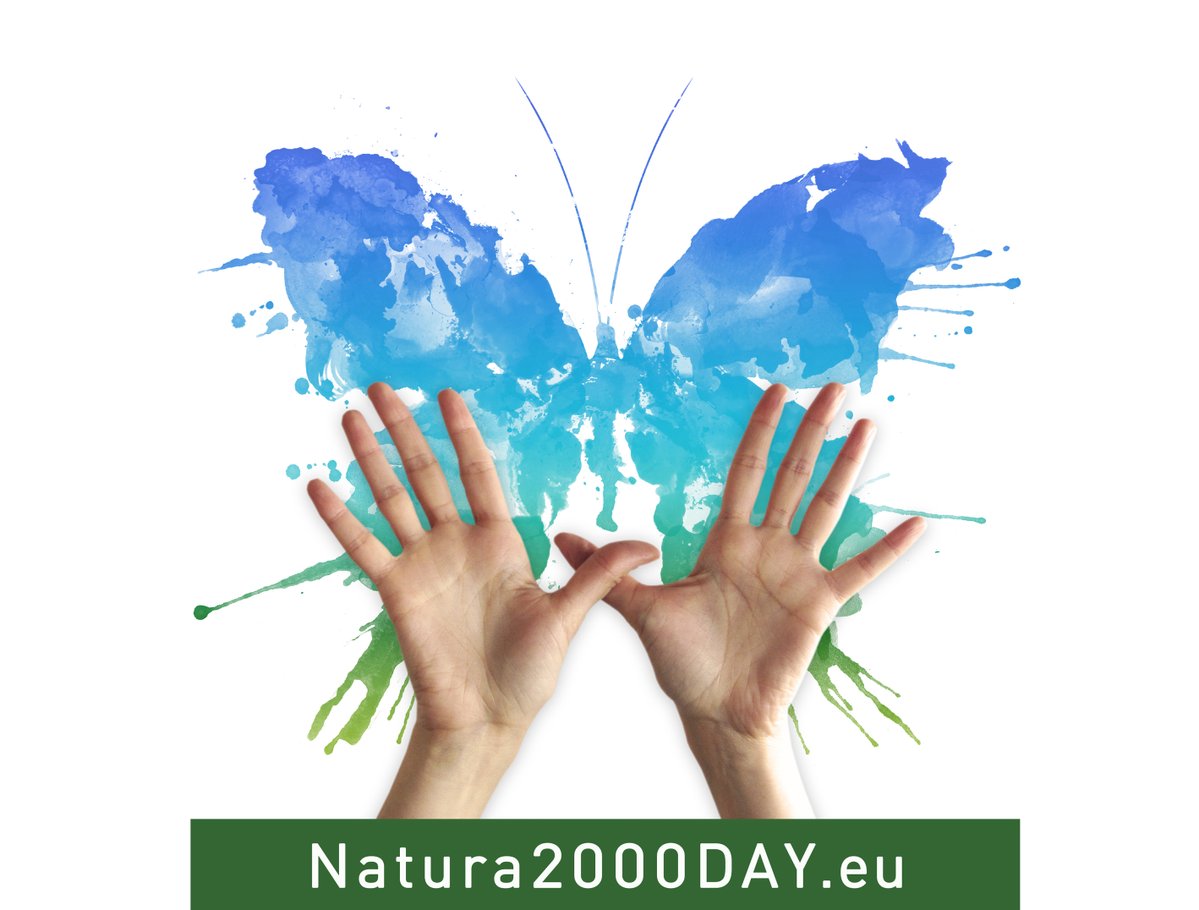Twitter : @Ayto_Navia (Ayuntamiento Navia)