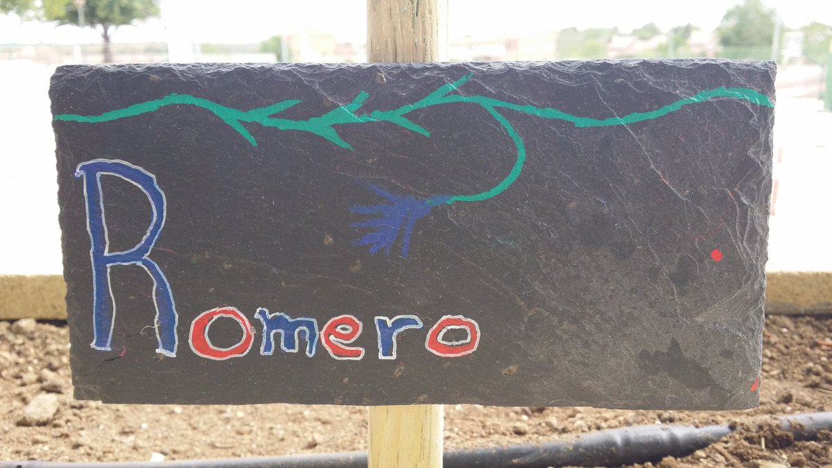 Twitter : @Educrea_Mirador (Educrea El Mirador)