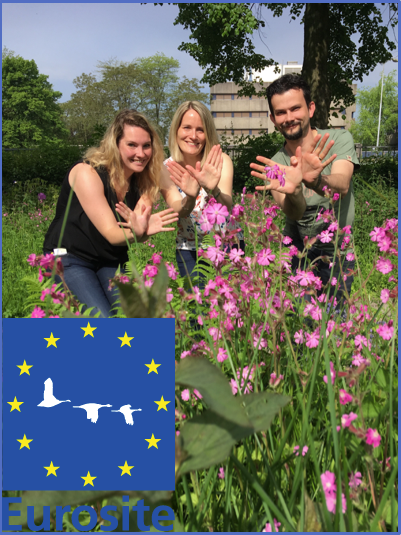 For a Europe where nature is cared for, protected, restored and valued by all For a Europe where nature is cared for, protected, restored and valued by all