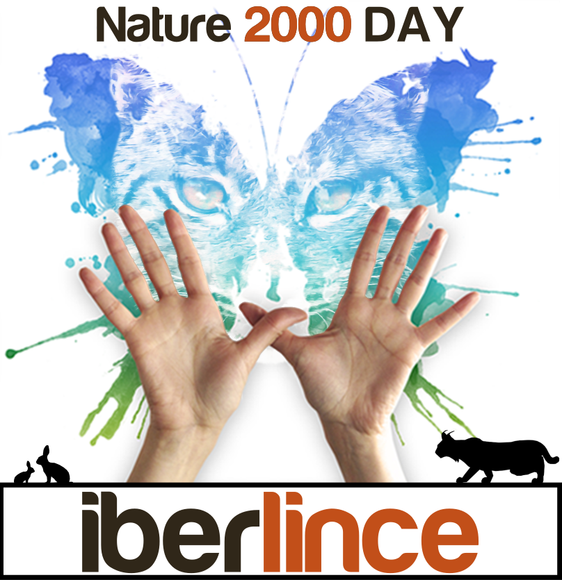 Life+IBERLINCE