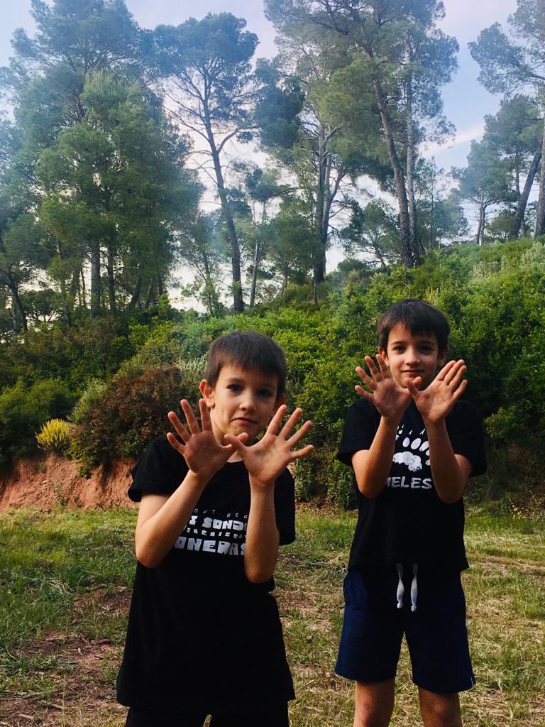 Los siguientes Los siguientes