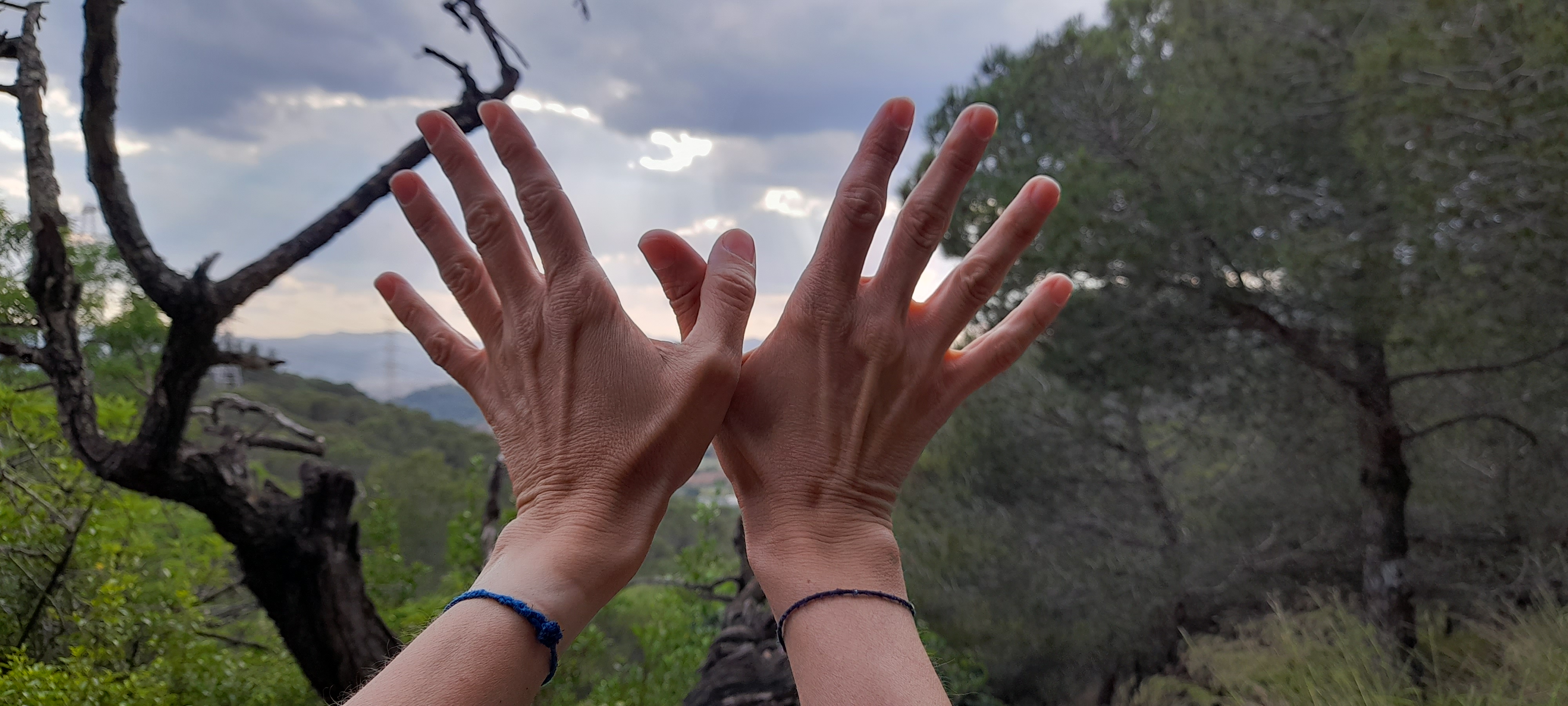 Cielo de mariposas
