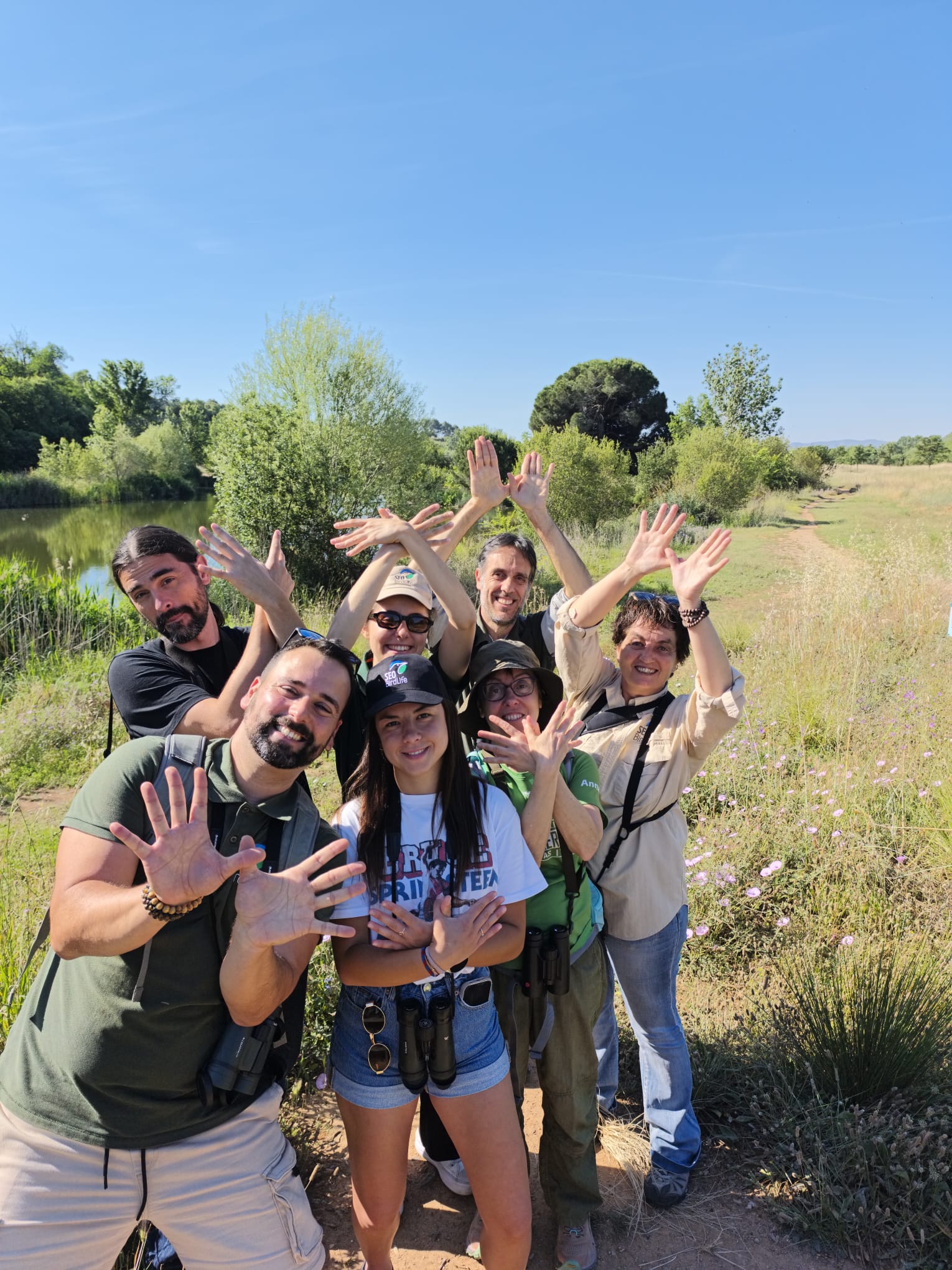 Mariposas desde SEO/BirdLife en Catalunya
